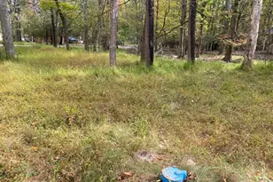 25 Maplewood Ln, Lake Harmony, PA 18624 - Photo 10