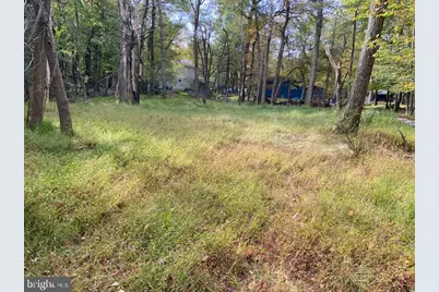 25 Maplewood Lane, Lake Harmony, PA 18624 - Photo 4