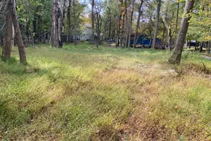 25 Maplewood Ln, Lake Harmony, PA 18624 - Photo 4