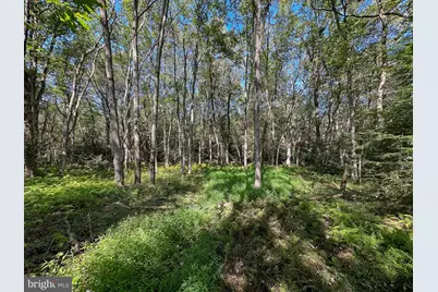 0 Drakes Drive, Jim Thorpe, PA 18229 - Photo 4