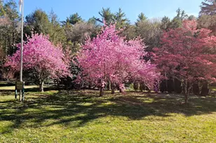 3585 Fairyland Rd, Lehighton, PA 18235 - Photo 104