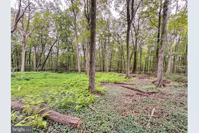 0 Pine Hollow, Lehighton, PA 18235 - Photo 10