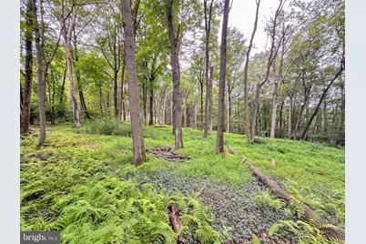 0 Pine Hollow, Lehighton, PA 18235 - Photo 2