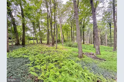 0 Pine Hollow, Lehighton, PA 18235 - Photo 4
