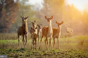 614 Graystones Jeras Rd Lot Hv-1, Albrightsville, PA 18210 - Photo 4