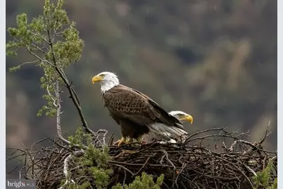 614 Graystones Jeras Rd Lot Hv-3, Albrightsville, PA 18210 - Photo 4