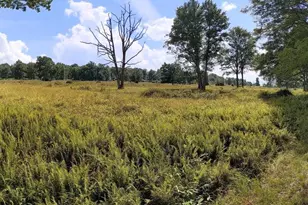 614 Graystones Jeras Rd Lot Sv-1, Albrightsville, PA 18210 - Photo 10