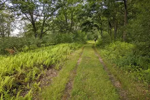 614 Graystones Jeras Rd Lot S-8, Albrightsville, PA 18210 - Photo 8