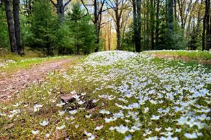 614 Graystones Jeras Rd Lot S-11, Albrightsville, PA 18210 - Photo 4