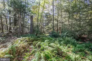 1733 State Route 903, Jim Thorpe, PA 18229 - Photo 40