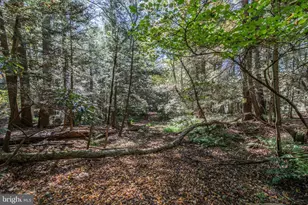 1733 State Route 903, Jim Thorpe, PA 18229 - Photo 42