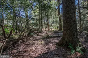 1733 State Route 903, Jim Thorpe, PA 18229 - Photo 44