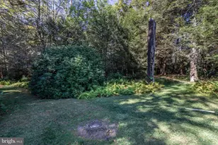 1733 State Route 903, Jim Thorpe, PA 18229 - Photo 38