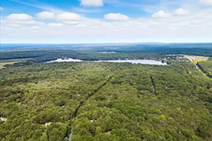 135 Dogwood Dr, Jim Thorpe, PA 18229 - Photo 96