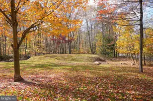 31 Orange Ln, Jim Thorpe, PA 18229 - Photo 78
