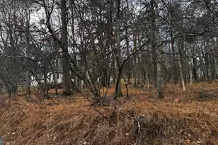 Lot D1922 Old Stage Rd, Albrightsville, PA 18210 - Photo 12