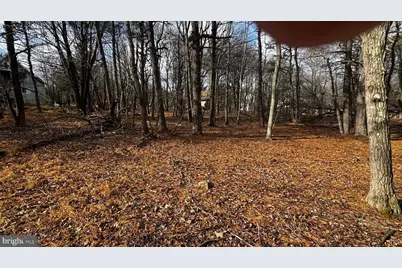 Lot D1922 Old Stage Road, Albrightsville, PA 18210 - Photo 10