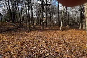 Lot D1922 Old Stage Rd, Albrightsville, PA 18210 - Photo 10