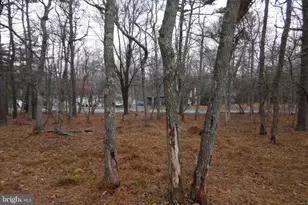 Lot D1922 Old Stage Rd, Albrightsville, PA 18210 - Photo 8