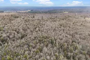 0 State Route 534, Albrightsville, PA 18210 - Photo 8