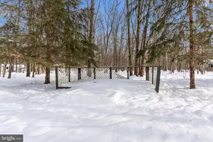 10 White Birch Way, Albrightsville, PA 18210 - Photo 28