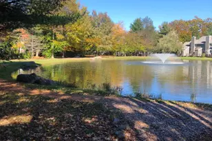 116 Snow Ridge Cir, Lake Harmony, PA 18624 - Photo 62