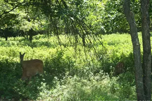 D2040 Stoney Mountain Rd, Albrightsville, PA 18210 - Photo 1