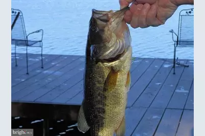 340 Moseywood Road, Lake Harmony, PA 18624 - Photo 88