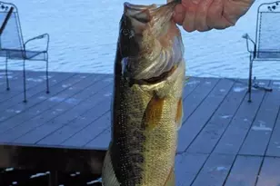 340 Moseywood Rd, Lake Harmony, PA 18624 - Photo 88