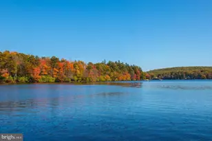 340 Moseywood Rd, Lake Harmony, PA 18624 - Photo 100