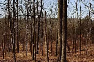 00 Scenic Dr, Albrightsville, PA 18210 - Photo 6