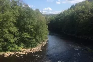 59 Midway, Lake Harmony, PA 18624 - Photo 82