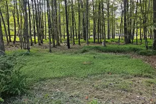 377 Kilmer Trail, Albrightsville, PA 18210 - Photo 42