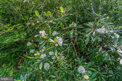 614 Graystones Jeras Rd Lot H-14, Albrightsville, PA 18210 - Photo 22