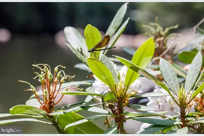 614 Graystones Jeras Rd Lot H-14, Albrightsville, PA 18210 - Photo 10