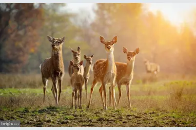 614 Graystones Jeras Rd Lot H-14, Albrightsville, PA 18210 - Photo 16