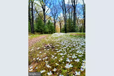 614 Graystones Jeras Rd Lot H-16, Albrightsville, PA 18210 - Photo 22