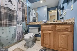 33 Elevator, Lake Harmony, PA 18624 - Photo 36