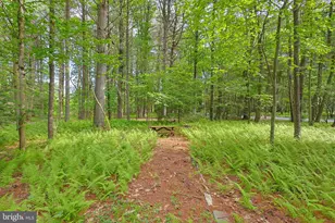 60 Sassafras Rd, Lehighton, PA 18235 - Photo 50