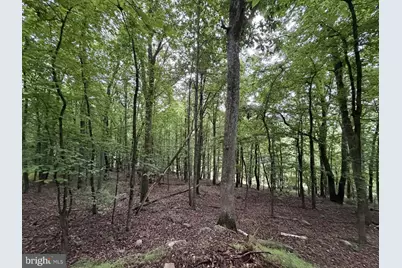 0 E Diaz Avenue, Nesquehoning, PA 18240 - Photo 20