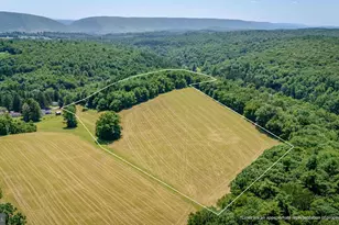 210 Snyder's Rd, Palmerton, PA 18071 - Photo 58