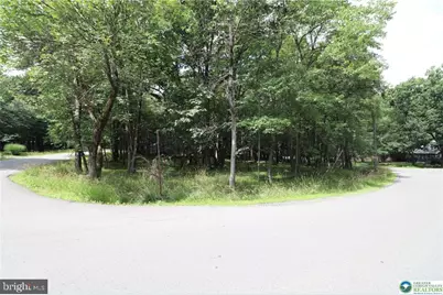 Long Brook Way & Woodland Road, Albrightsville, PA 18210 - Photo 1