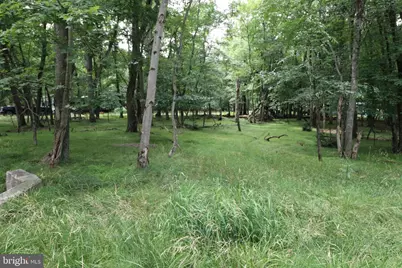 Long Brook Way & Woodland Road, Albrightsville, PA 18210 - Photo 2