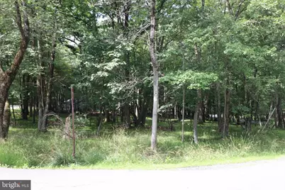 Long Brook Way & Woodland Road, Albrightsville, PA 18210 - Photo 6