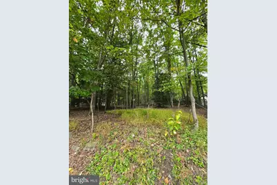 510 W White Bear Drive, Summit Hill, PA 18250 - Photo 4
