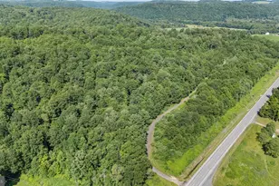 327 9 Acres Mahaffey Grampian Hwy, Mahaffey, PA 15757 - Photo 2