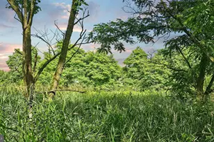 327 9 Acres Mahaffey Grampian Hwy, Mahaffey, PA 15757 - Photo 46