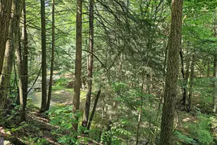 327 9 Acres Mahaffey Grampian Hwy, Mahaffey, PA 15757 - Photo 4