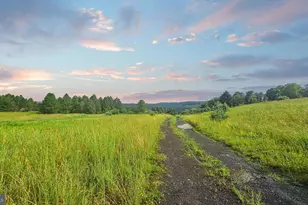 327 9 Acres Mahaffey Grampian Hwy, Mahaffey, PA 15757 - Photo 50