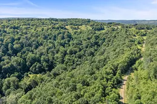 327 9 Acres Mahaffey Grampian Hwy, Mahaffey, PA 15757 - Photo 8